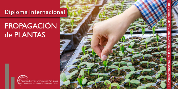 Propagacion de plantas